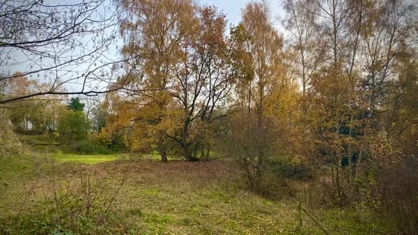 Dry Sandford Pit Nature Reserve