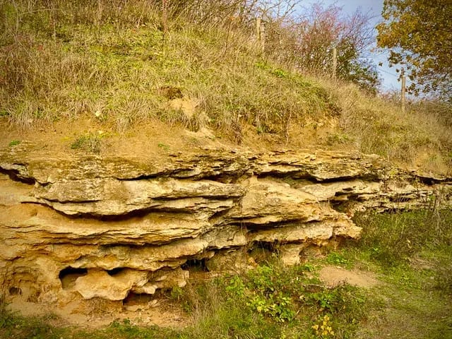 Dry Sandford Pit Nature Reserve - image 1
