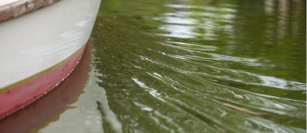 Oxford River Cruises