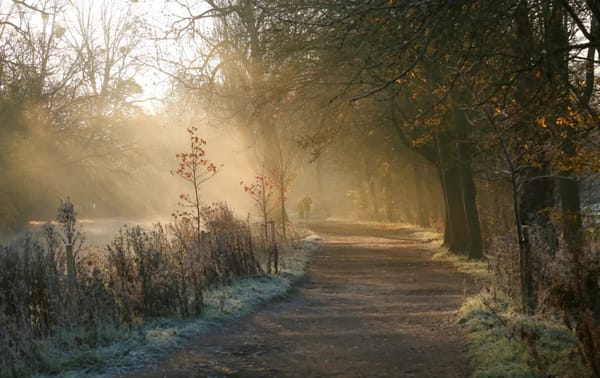 Christ Church Meadow