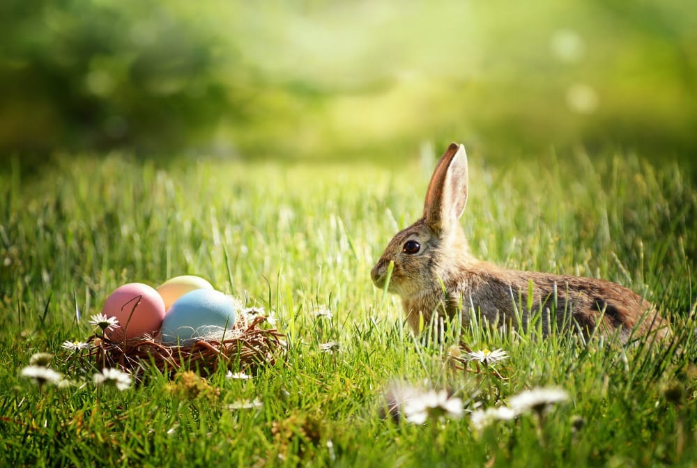 Easter Holiday Activities and Events in Oxford