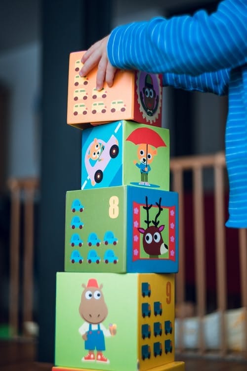 Sprouts Play Barn